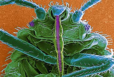 Epic喜加三 免费领《地下城工会》《永不孤单》